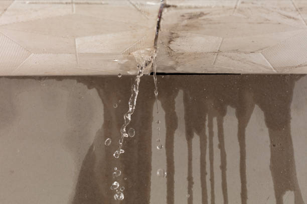 Professional Structural Drying technician working in Llewellyn, PA